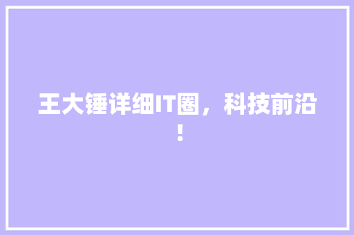 王大锤详细IT圈，科技前沿！