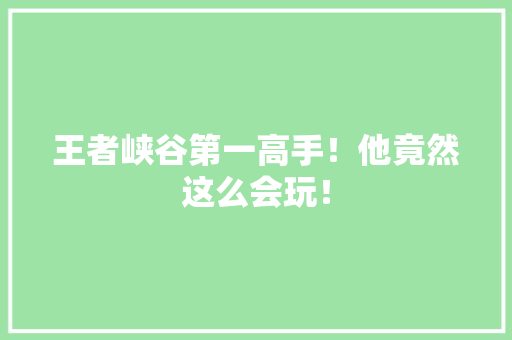 王者峡谷第一高手！他竟然这么会玩！ 头条优化