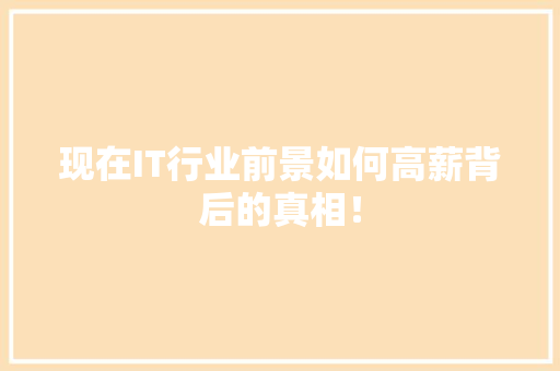 现在IT行业前景如何高薪背后的真相！ 网站优化