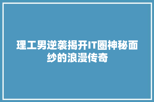 理工男逆袭揭开IT圈神秘面纱的浪漫传奇 英文谷歌算法