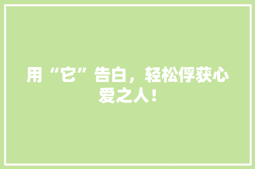 用“它”告白，轻松俘获心爱之人！