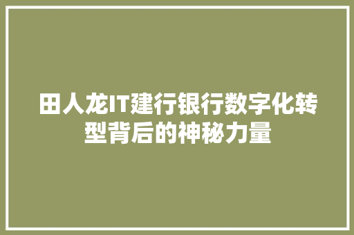 田人龙IT建行银行数字化转型背后的神秘力量