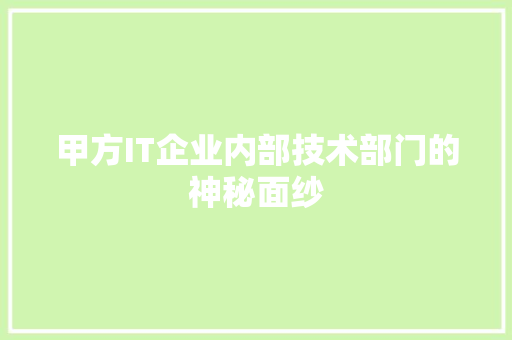 甲方IT企业内部技术部门的神秘面纱