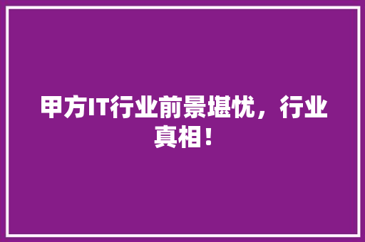 甲方IT行业前景堪忧，行业真相！