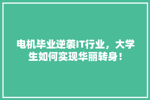 电机毕业逆袭IT行业，大学生如何实现华丽转身！ seo技术