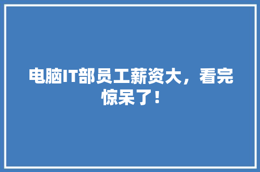 电脑IT部员工薪资大，看完惊呆了！ 头条优化