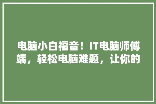 电脑小白福音！IT电脑师傅端，轻松电脑难题，让你的电脑从此告别故障烦恼