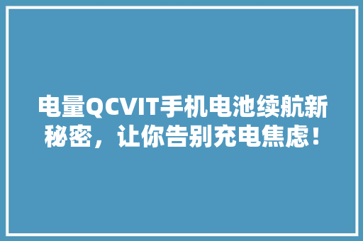 电量QCVIT手机电池续航新秘密，让你告别充电焦虑！ 网站开发