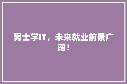 男士学IT，未来就业前景广阔！ 搜狗优化