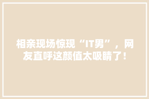 相亲现场惊现“IT男”，网友直呼这颜值太吸睛了！ 网站开发