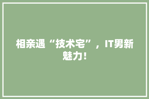 相亲遇“技术宅”，IT男新魅力！