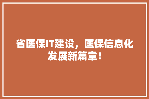 省医保IT建设，医保信息化发展新篇章！