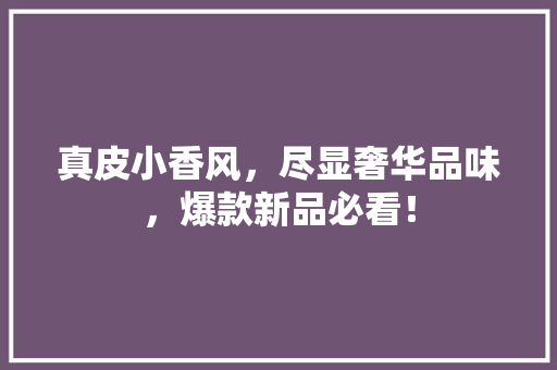 真皮小香风，尽显奢华品味，爆款新品必看！ 网站开发