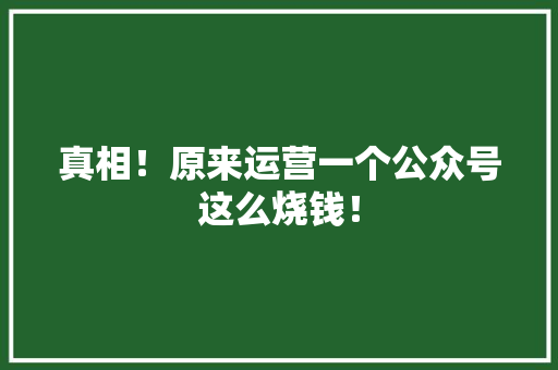 真相！原来运营一个公众号这么烧钱！