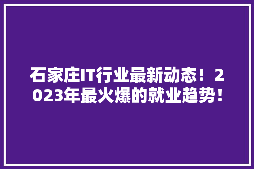 石家庄IT行业最新动态！2023年最火爆的就业趋势！ 头条优化