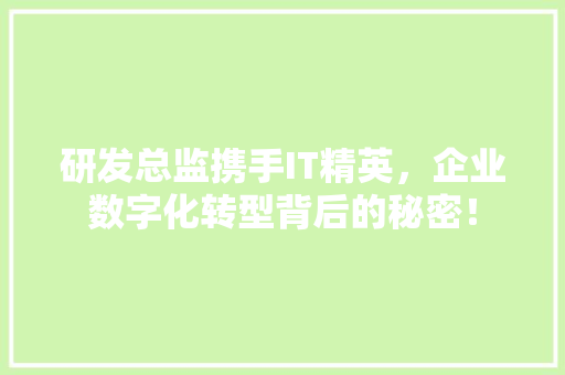 研发总监携手IT精英，企业数字化转型背后的秘密！