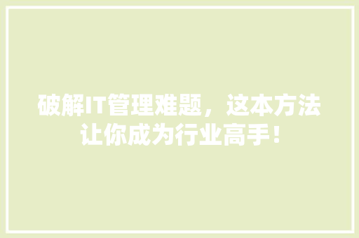 破解IT管理难题，这本方法让你成为行业高手！ 网站开发