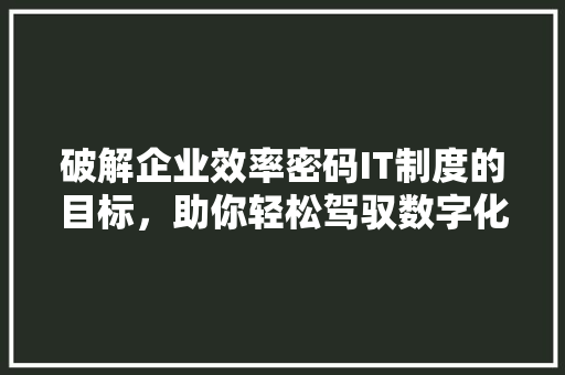 破解企业效率密码IT制度的目标，助你轻松驾驭数字化未来！