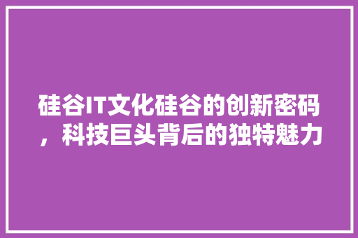 硅谷IT文化硅谷的创新密码，科技巨头背后的独特魅力！