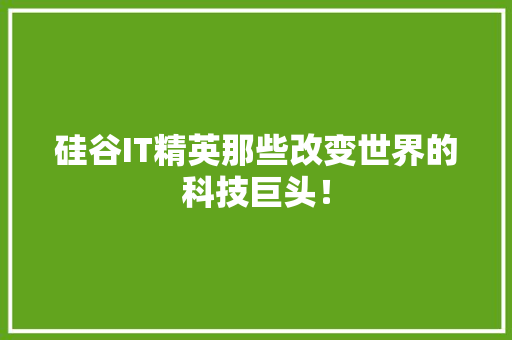 硅谷IT精英那些改变世界的科技巨头！