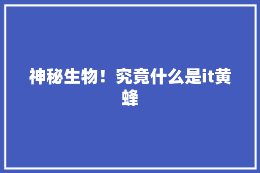 神秘生物！究竟什么是it黄蜂 英文谷歌算法