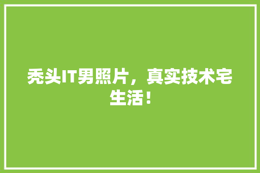 秃头IT男照片，真实技术宅生活！