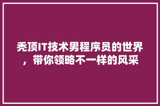 秃顶IT技术男程序员的世界，带你领略不一样的风采 百度算法