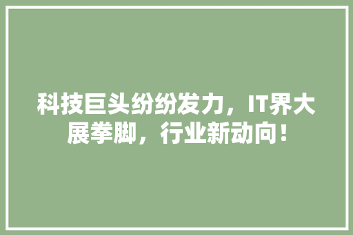 科技巨头纷纷发力，IT界大展拳脚，行业新动向！