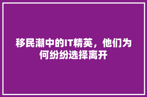 移民潮中的IT精英，他们为何纷纷选择离开 360搜优化
