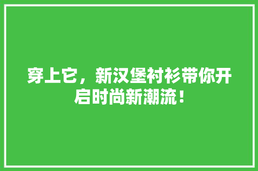 穿上它，新汉堡衬衫带你开启时尚新潮流！ 搜狗优化