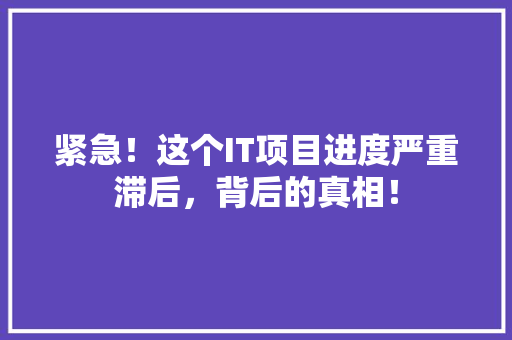 紧急！这个IT项目进度严重滞后，背后的真相！