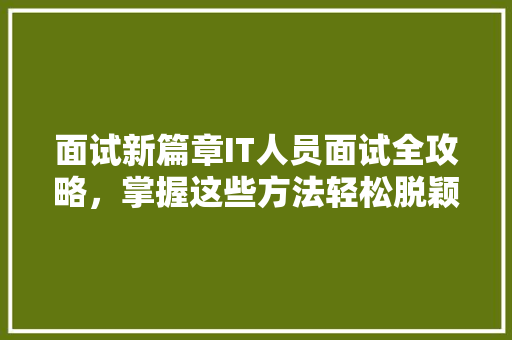 面试新篇章IT人员面试全攻略，掌握这些方法轻松脱颖而出！ seo技术