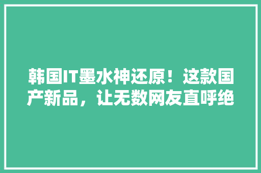 韩国IT墨水神还原！这款国产新品，让无数网友直呼绝了！ AI技术学习