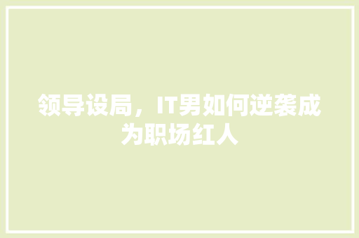 领导设局，IT男如何逆袭成为职场红人 百度算法