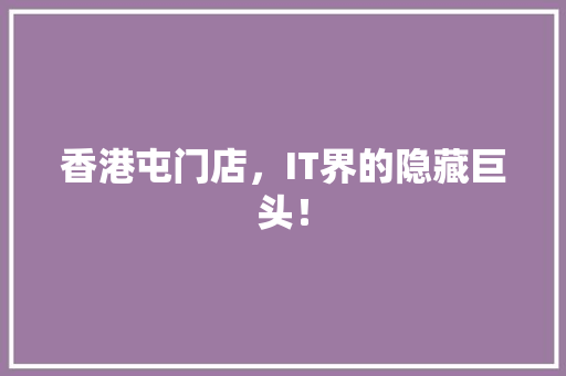 香港屯门店，IT界的隐藏巨头！