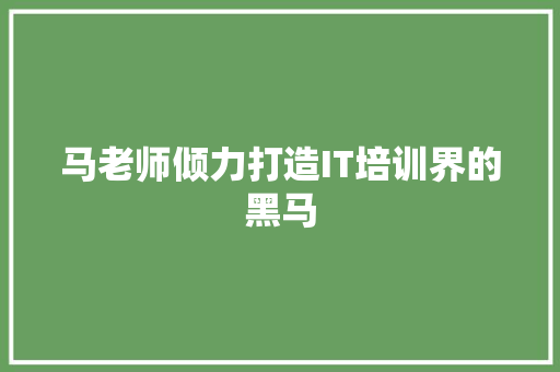 马老师倾力打造IT培训界的黑马
