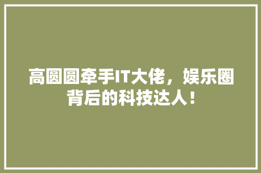 高圆圆牵手IT大佬，娱乐圈背后的科技达人！