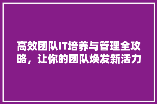 高效团队IT培养与管理全攻略，让你的团队焕发新活力！ 小程序开发