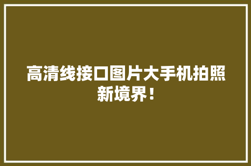 高清线接口图片大手机拍照新境界！ seo技术