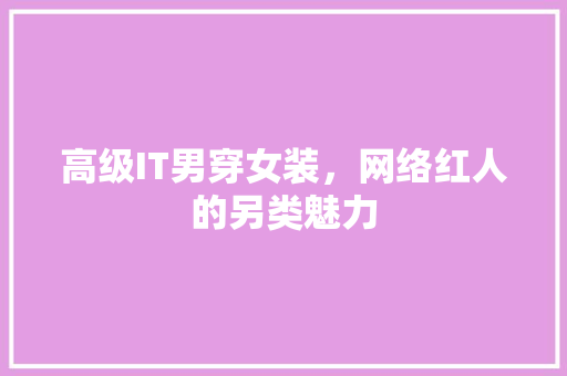 高级IT男穿女装，网络红人的另类魅力 网站优化