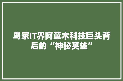 鸟家IT界阿童木科技巨头背后的“神秘英雄” seo技术