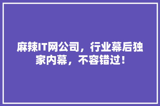 麻辣IT网公司，行业幕后独家内幕，不容错过！ seo技术