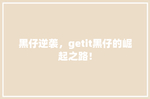 黑仔逆袭，getit黑仔的崛起之路！ 英文谷歌算法