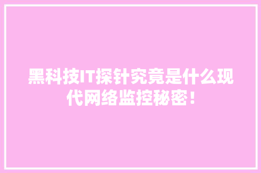 黑科技IT探针究竟是什么现代网络监控秘密！ 网站开发