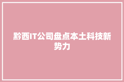 黔西IT公司盘点本土科技新势力 网站优化