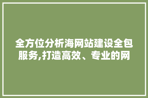 全方位分析海网站建设全包服务,打造高效、专业的网络平台