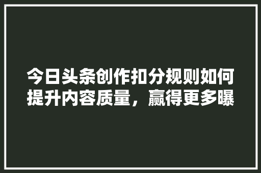 今日头条创作扣分规则如何提升内容质量，赢得更多曝光
