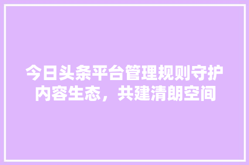 今日头条平台管理规则守护内容生态，共建清朗空间