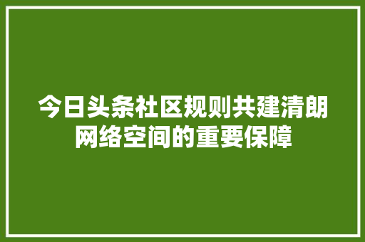 今日头条社区规则共建清朗网络空间的重要保障