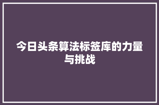 今日头条算法标签库的力量与挑战